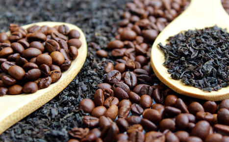 Statistisches Bundesamt - Großhandelspreise für Lebensmittel steigen um 3,5 Prozent | Sustainable Procurement News - Deutschland, Österreich, Schweiz | Scoop.it