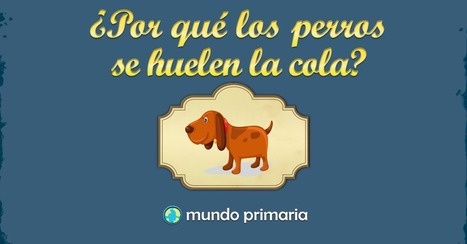 ¿Por qué los perros se huelen la cola? | Español para los más pequeños | Scoop.it