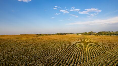 RESOURCES: Global food system resilience gaps exposed in new Economist Impact index | RESSOURCES | Scoop.it
