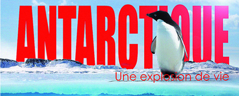 Chambéry | CCSTI Galerie Eurêka : "Antarctique, explosion de vie, 02/02/16 > 02/09/16 | Ce monde à inventer ! | Scoop.it
