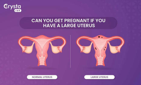Bulky Uterus Meaning | Fertility Treatment in India | Scoop.it