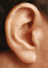 Retrain the brain: Tinnitus research seems to point to new ways to stop the ringing | Amazing Science | Scoop.it