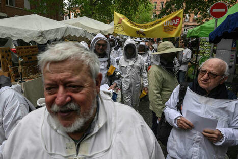 Pesticides : « La loi Duplomb consacre une capitulation politique, celle de la bifurcation écologique » | Revue de presse du Centre de doc | Scoop.it