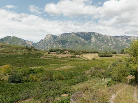 4 lauréats pour le volet biodiversité de l’appel à projets « plans de paysage » | Biodiversité | Scoop.it