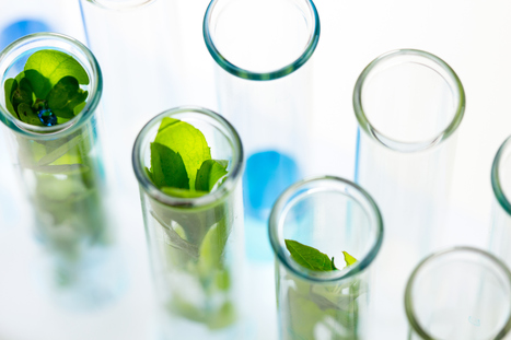 CPhI calls on pharma companies to put sustainability at the top of their agenda | Sustainable Procurement & CSR News - Pharmaceutical Industry | Scoop.it