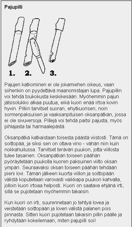 Metsäpolku - Nuotiolla - Puhdetyöt - Pajupilli | 1Uutiset - Lukemisen tähden | Scoop.it
