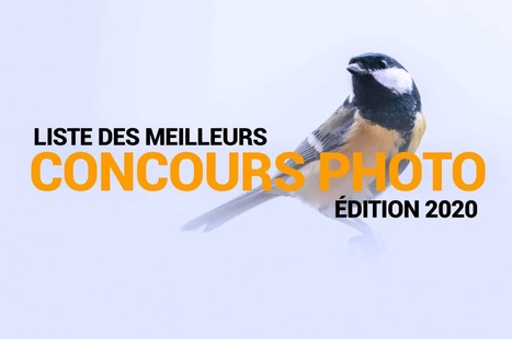 Liste des meilleurs concours photo 2020 – Photographie animalière | J'écris mon premier roman | Scoop.it