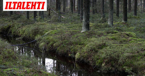 Ven&auml;j&auml;n panssarivaunuille &rdquo;m&auml;rk&auml; ja upottava&rdquo; ansa Suomen it&auml;rajalle? &rdquo;Etenee nyt&rdquo; | 1Uutiset - Lukemisen t&auml;hden | Scoop.it