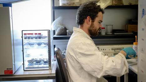 Reims : Exebio, un projet de l’université pour devenir leader en bioéconomie | Le fil d'actualités de l'URCA | Scoop.it