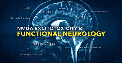 NMDA Excitotoxicity in Functional Neurology | El Paso, TX Chiropractor | Call: 915-850-0900 | Neuropathy "The Painful Enigma" | Scoop.it
