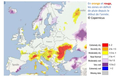Une sécheresse extrême touche les trois quarts de l'Europe | Lait de Normandie... et d'ailleurs | Scoop.it