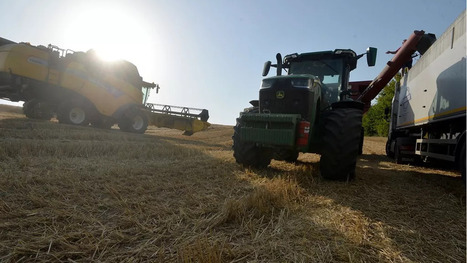 UKRAINE : Guerre et sécheresse, une double peine pour l'agriculture ukrainienne  | CONFLIT RUSSO-UKRAINIEN | Scoop.it