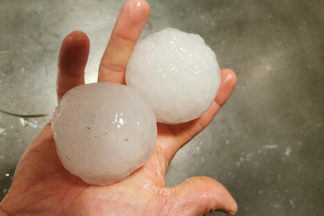 "Voitures, volets, toitures, on a pris cher". Les orages de grêle font des dégâts dans le Béarn | BABinfo Pays Basque | Scoop.it