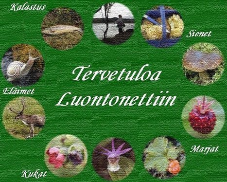 Luontonetti - Tervetuloa | 1Uutiset - Lukemisen tähden | Scoop.it