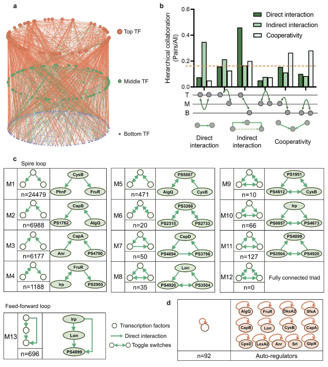 Architecture of genome-wide transcriptional reg...