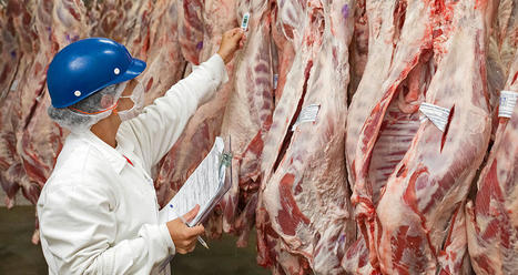 Les importations de viande bovine en hausse | Actualité Bétail | Scoop.it