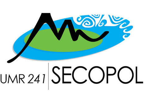 Stage Cartographie littorale – zones humides Tahiti & Moorea | UMR SECOPOL | Télédétection veille IST INRAE & AgroParisTech | Scoop.it