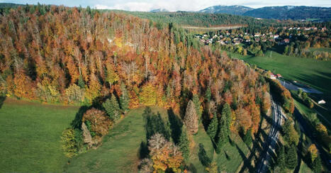 Jura, un massif sous pression | Stratégie de territoires et offices de tourisme | Scoop.it