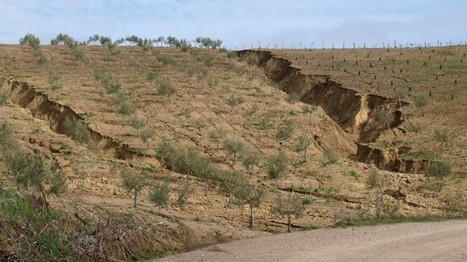 La desertificación avanza por el 70% del territorio estatal por la mala planificación | Ordenación del Territorio | Scoop.it