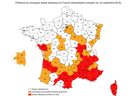 Chikungunya, dengue : 30 départements sont désormais concernés | EntomoNews | Scoop.it