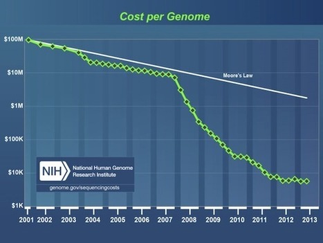 Forecast 2014: The Human Transformation Revolution - Gold Seek | Peer2Politics | Scoop.it