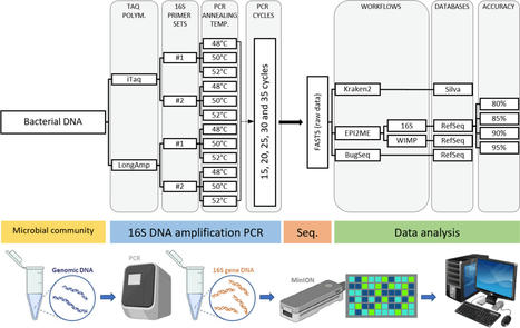 Optimized bacterial community characterization through full-length 16S rRNA gene sequencing utilizing MinION nanopore technology | BMC | RMH | Scoop.it