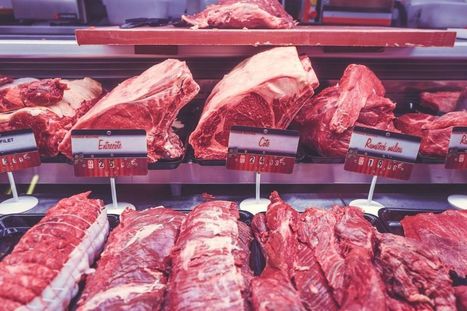 Le bœuf est la viande la plus consommée en France | Actualité Bétail | Scoop.it