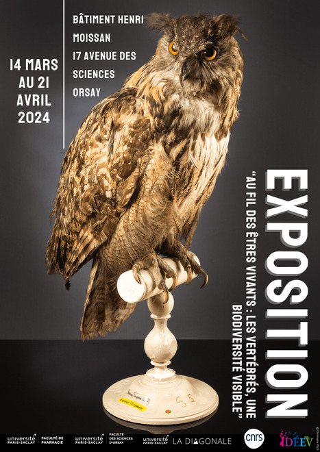 EXPOSITION - Au fil des êtres vivants : Les Vertébrés, une biodiversité visible | Life Sciences Université Paris-Saclay | Scoop.it
