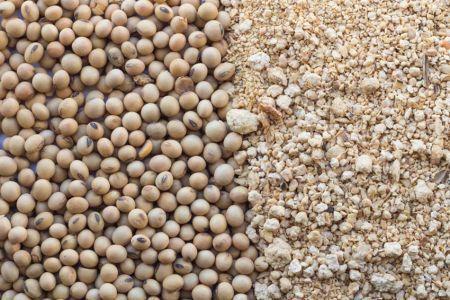 L’Éthiopie renforce son accès au marché chinois du soja | ITERG - Veille sectorielle | Scoop.it