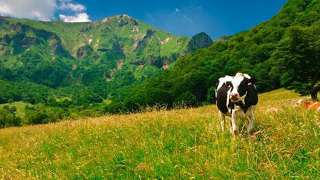 De l'avance dans la production d'herbe en avril 2025 | Elevage et environnement | Scoop.it