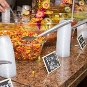 Cinco De Mayo Salsa Competition 2023 | Cayo Scoop!  The Ecology of Cayo Culture | Scoop.it