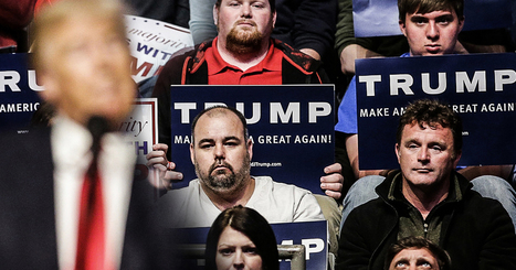 Trump Voters FREAK OUT After Realizing They Aren’t Getting Tax Cuts - The Ring of Fire Network  | Operation Deimos | Scoop.it