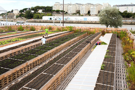 L'agriculture urbaine redessine les villes | ESPACES VEGETALISES URBAINS | Scoop.it