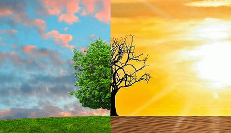 Etude : Impact socio&eacute;conomique du Changement Climatique en Tunisie : le colossal co&ucirc;t de l&rsquo;inaction - La Presse de Tunisie | Gestion Durable des Ressources | Scoop.it