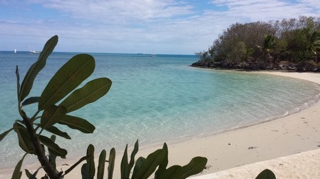 Why "rich content" is central to your social media strategy | digital marketing strategy | Scoop.it