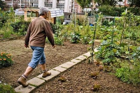Premi&egrave;re en Belgique&nbsp;: une ferme urbaine &agrave; Bruxelles | Plusieurs id&eacute;es pour la gestion d'une ville comme Namur | Scoop.it