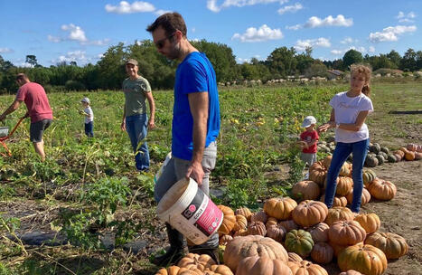 Amap de Labenne-Capbreton-Ondres : au-del&agrave; du panier, un engagement citoyen | Landes - Conseils municipaux & communautaires | Scoop.it