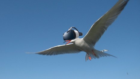 The Future Of In-flight Entertainment Is Virtual&nbsp;Reality | VIRTUAL REALITY | Scoop.it