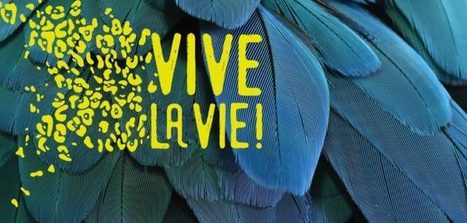 Vive la vie, une programmation 2017 pour célébrer le vivant à Espace pour la vie (Montréal, Québec) | Variétés entomologiques | Scoop.it