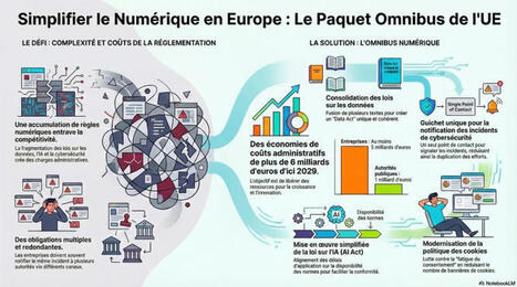 C'est assez cocasse : je teste la fonction infographie de notebookKLM sur le paquet omnibus digital de l'UE... il y avait dans les 10 sources des articles critiques sur les modifications envisagées... | Notebook or My Personal Learning Network | Scoop.it