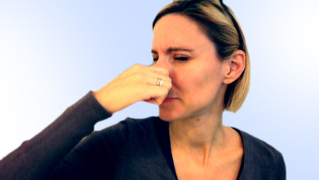 Interview with Luxembourg Foreign Minister: Franco-German Border Plan 'Stinks to High Heaven' - SPIEGEL ONLINE | Chronique des Droits de l'Homme | Scoop.it