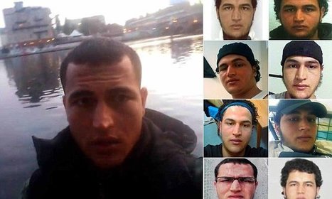 Berlin lorry massacre suspect left fingerprints on steering wheel | Celebrities, Politics & More | Scoop.it