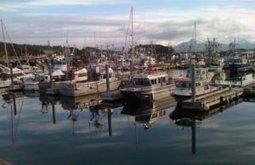 Alaska gubernatorial fishing debate called off after incumbent’s surprise exit | Coastal Restoration | Scoop.it