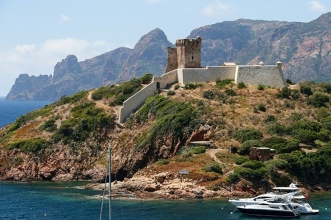 Les Oiseaux De Corse