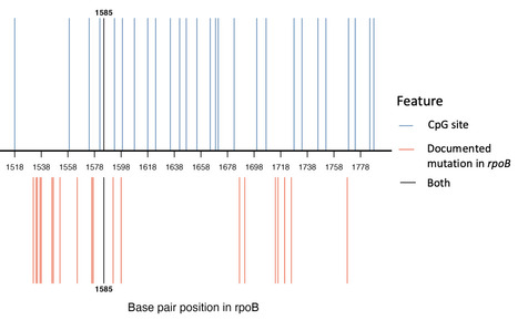 Introduction of CG methylation in E. coli induces mutagenesis at AT base pairs | brve | RMH | Scoop.it