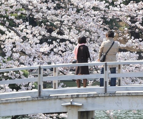 Young People in Japan Have Given Up on Sex | Life Orientation resources for South African teachers | Scoop.it
