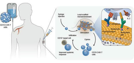 Boosting CAR-T cell therapies from under the skin | Healthcare: reloaded... | Scoop.it