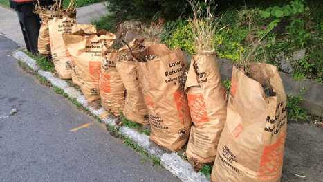Can my neighbor dispose of yard waste on my property in Delaware? | Industry 411 - Waste Management | Scoop.it
