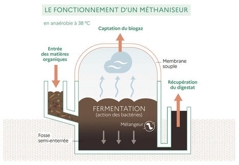 L&rsquo;agriculteur devient-il &laquo;&nbsp;&eacute;nergiculteur&nbsp;&raquo; ? | prospective et tendances | Scoop.it