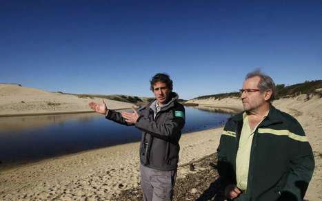 Vidéo. Le courant d’Huchet dans les Landes : une carte postale à préserver | Landes | Scoop.it